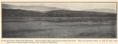 Hay-Field.jpg