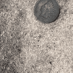 Surface find! (1899) Indian head cent