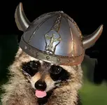 raccoonviking1.webp