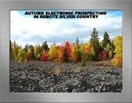 AUTUMN ELECTRONIC PROSPECTING BBBLSF.webp