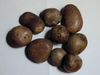 Potato Rocks 001.jpg