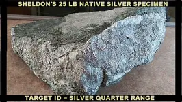 SHELDON 25 LB SILVER SPECIMEN YB.webp