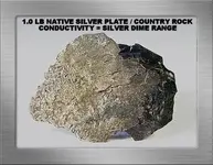 1.0 LB PLATE SILVER SPECIMEN SFB13.webp