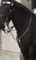 Martingale--Horse Breastplate.jpg