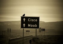 cisco 1.jpg