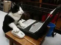 cat on computer.webp