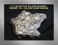 2.7 LB SILVER NUGGET SFBBYG16N.webp