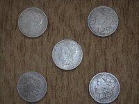 5 Silver Dollars.JPG