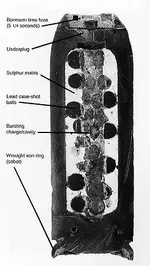 parrot shell diagram.webp