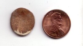 tree coin 2.jpg