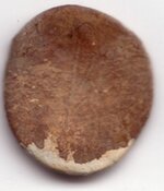 tree coin 3.jpg