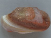 Agate-BigRedWhiteOrangeSmile-Img_6202SSS.jpg