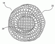 TrunkXSection.gif