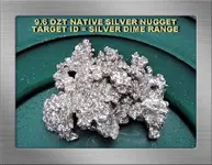 9.6 OZT SILVER NUGGET SFPANGY17GRN.webp