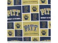 pitt.jpg