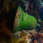 shipwreck-bell-250x250.jpg