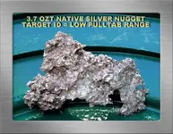 3.7 OZT SILVER NUGGET SFPANYG17.webp