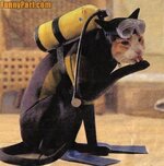 FunnyPart-com-scuba_diving_cat.jpg