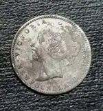 newfie dime 1.webp