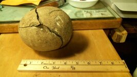 dinosaur egg 2.jpg