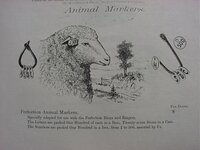 animal marker tags (1).jpg