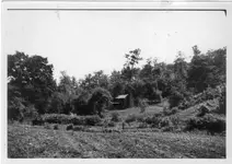 Farm before my house built.webp