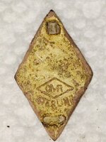 CM Robbins Pin (back).jpg