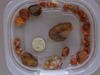 Agates-June2015Trip-Armes-Img_6270SSS.jpg