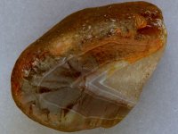 Agate-June2015ArmesBigQuartzImg_6273SSS.jpg