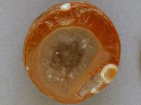 Agate-June2015-NwJawbreaker-Img_6290cSSS.jpg