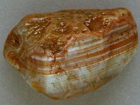 Agate-June2015-NwWaterLevelThumbprint-Img_6292cSSS.jpg