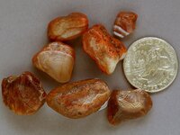 Agates-June2015-SLSmalls-Img_6310SSS.jpg