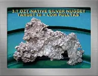 3.7 OZT SILVER NUGGET SFPANYGG19.webp