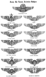 USAAF-wings.webp