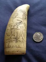 scrimshaw front.webp