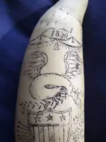 scrimshaw front detail.webp