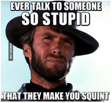 2015-08-11 01_08_20-Ever Talk To Someone So Stupid - Humoar.com.png