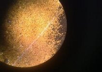 gold under microscope.jpg