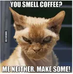 2015-08-11 01_35_18-You Smell Coffee_ Me Neither. Make Some! - Humoar.com.webp