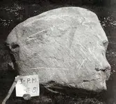 stone head.webp