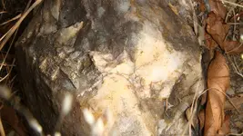 trench quartz.webp