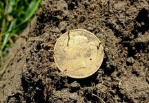 20150523_105208 gold coin.jpg