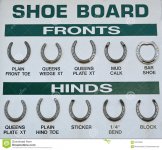 horse-shoe-board-collection-different-types-shoes-56576058.jpg