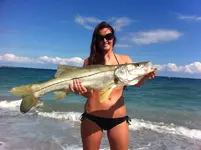 Beach-Snook.webp