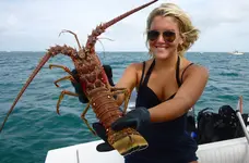 lobster-august.webp