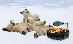 polar-bears-roasting-penguin.webp