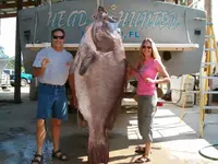 goliath grouper big fishes huge world record largest IGFA gigante pesce biggest fish  enorme ...webp