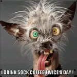 Drink sock coffee twice a day.webp