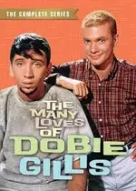 dobie gillis.webp