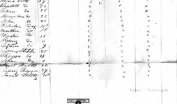 Ancestry.com   New York  Passenger Lists  1820 1957.webp